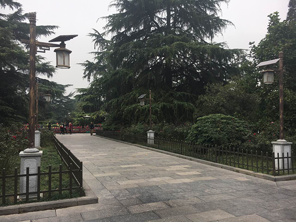 源码太阳能路灯，太阳能路灯厂家，太阳能路灯价格