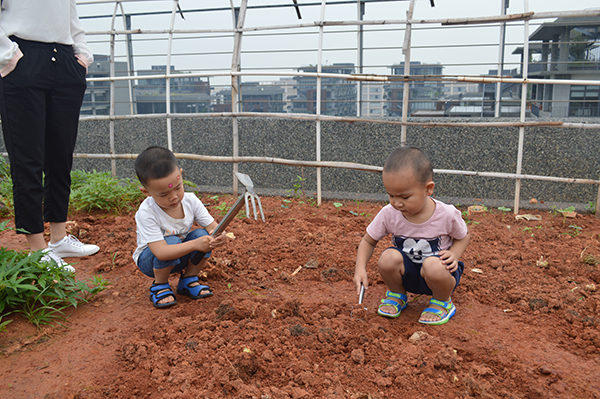 太阳能路灯，太阳能路灯厂家，太阳能路灯价格