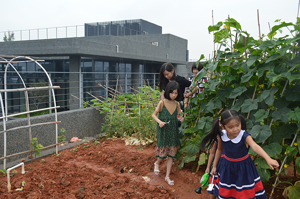 太阳能路灯，太阳能路灯厂家，太阳能路灯价格