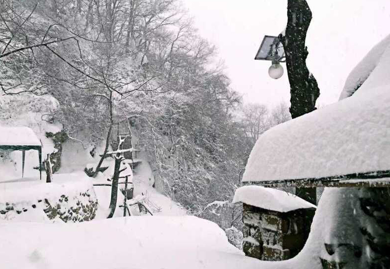 行业普及：太阳能路灯有什么种类