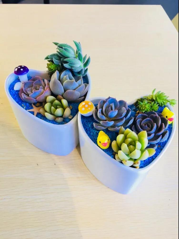 女神节快乐 | 女神节就要玩出不一样……