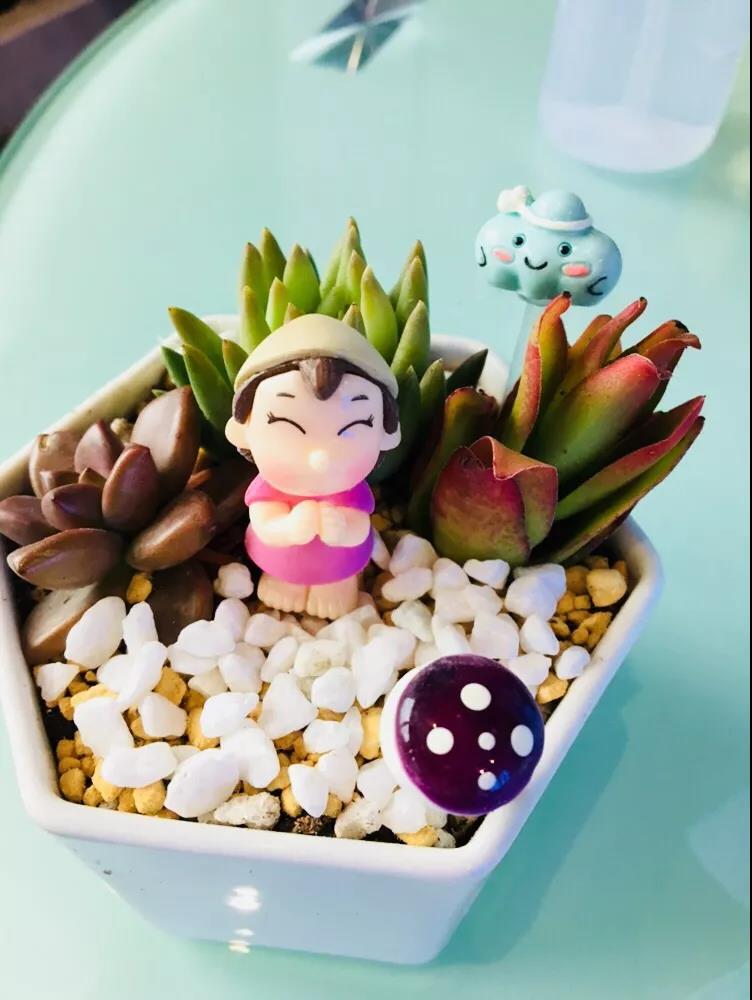 女神节快乐 | 女神节就要玩出不一样……