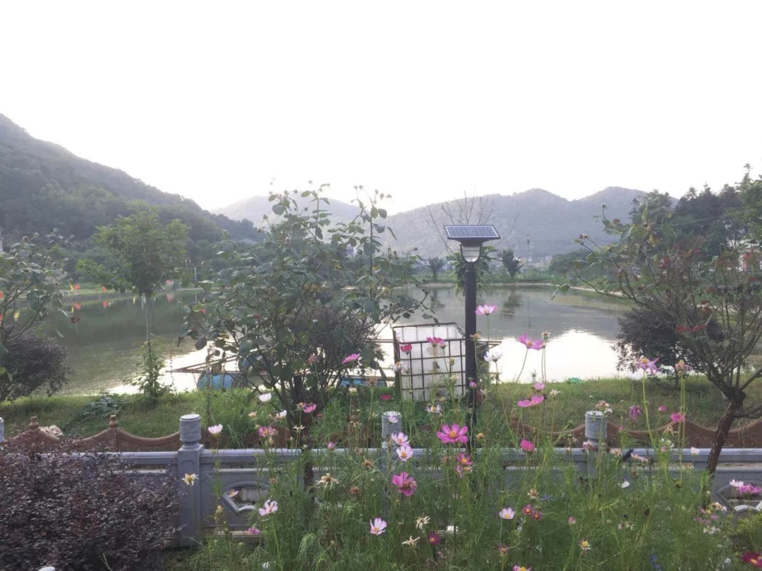 源码，你所不知道的另一面