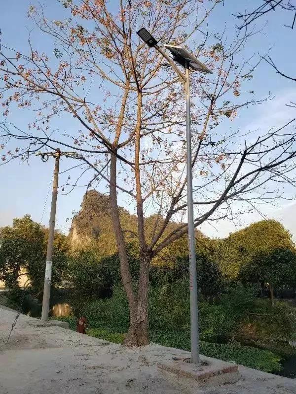 照亮农村幸福路！源码携手建设柳州“村屯光亮工程