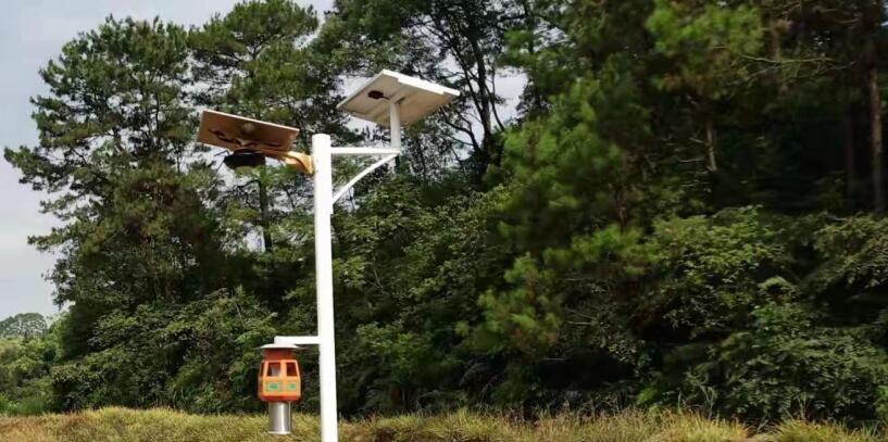 太阳能路灯为什么能节能改造