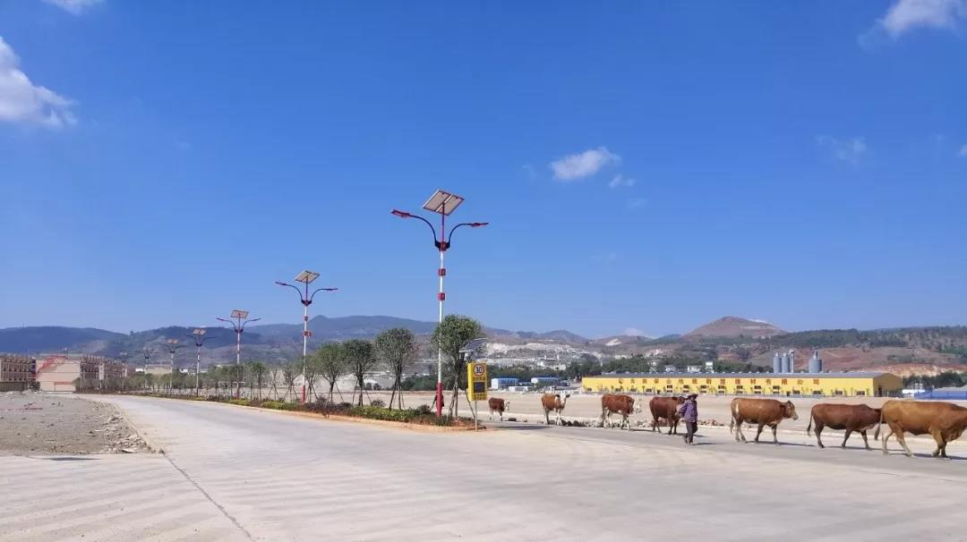 回顾2019，源码Road Smart奋斗在路上