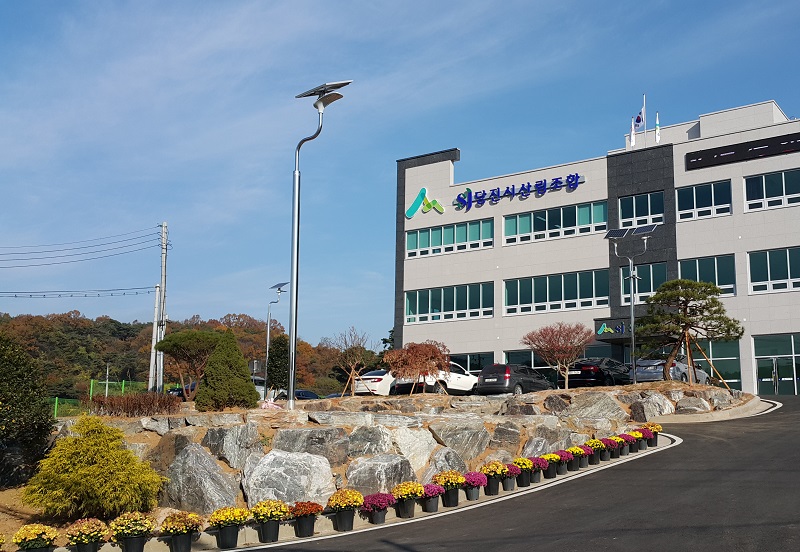 韩国太阳能路灯-飞鹤灯工程