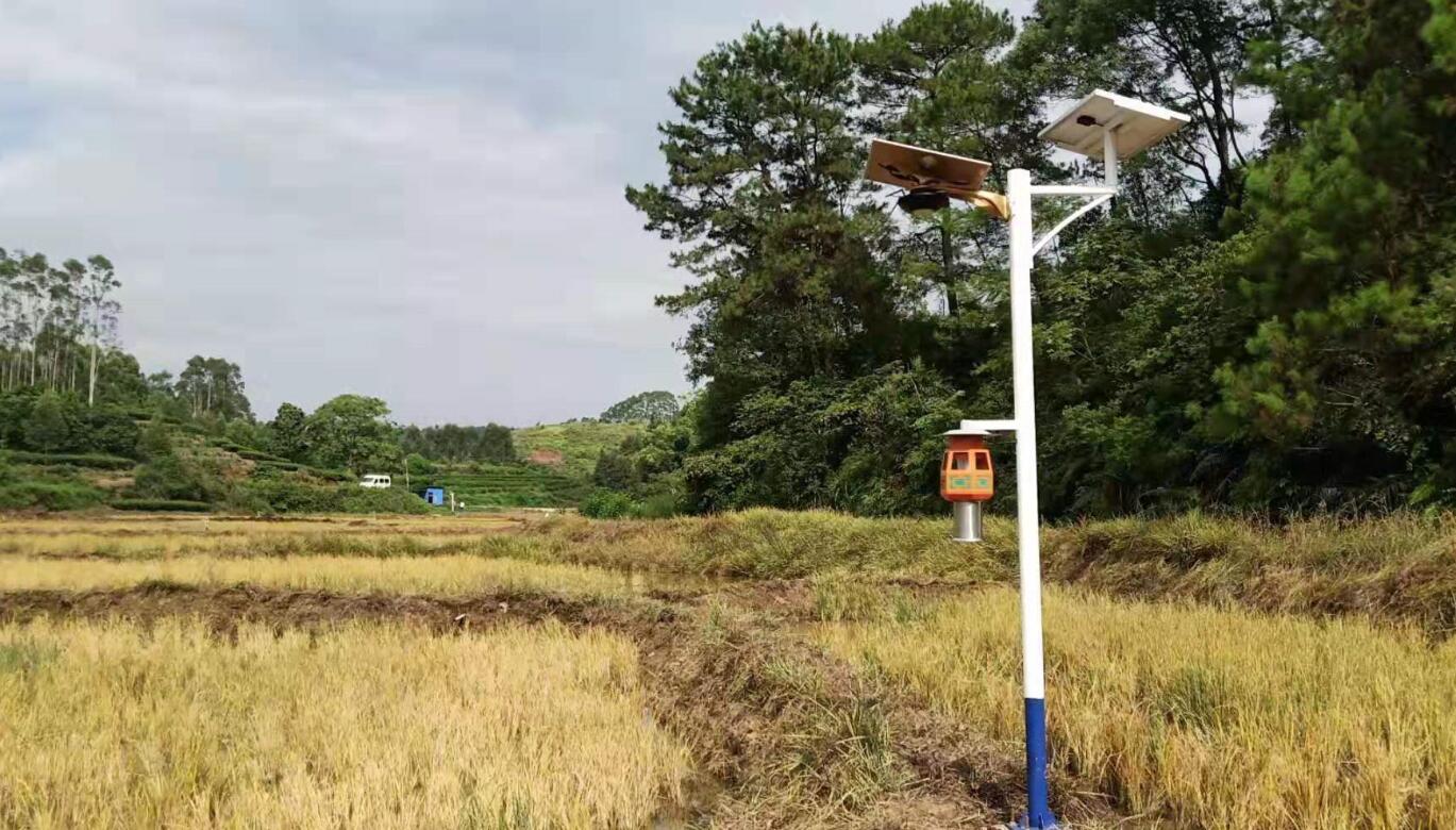 路灯的照度应该怎么样计算