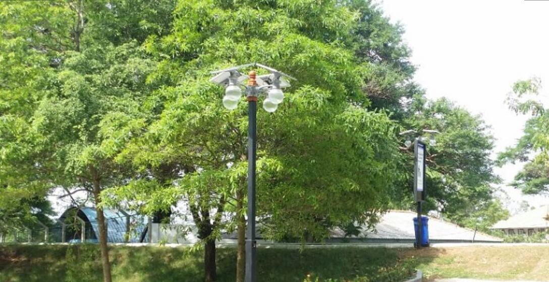 冬季太阳能路灯（灯杆）维护方法（1）