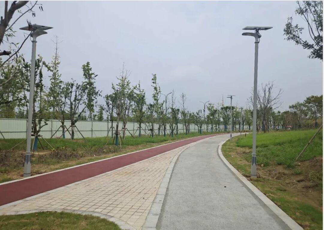 晴空排云雁高飞，源码项目掀热潮