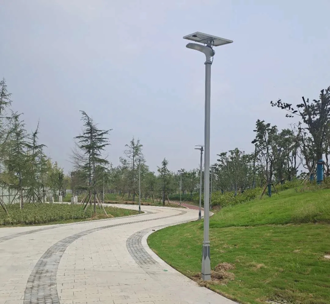 晴空排云雁高飞，源码项目掀热潮