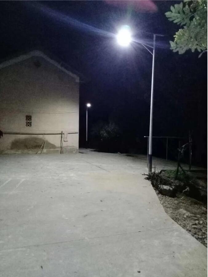 晴空排云雁高飞，源码项目掀热潮