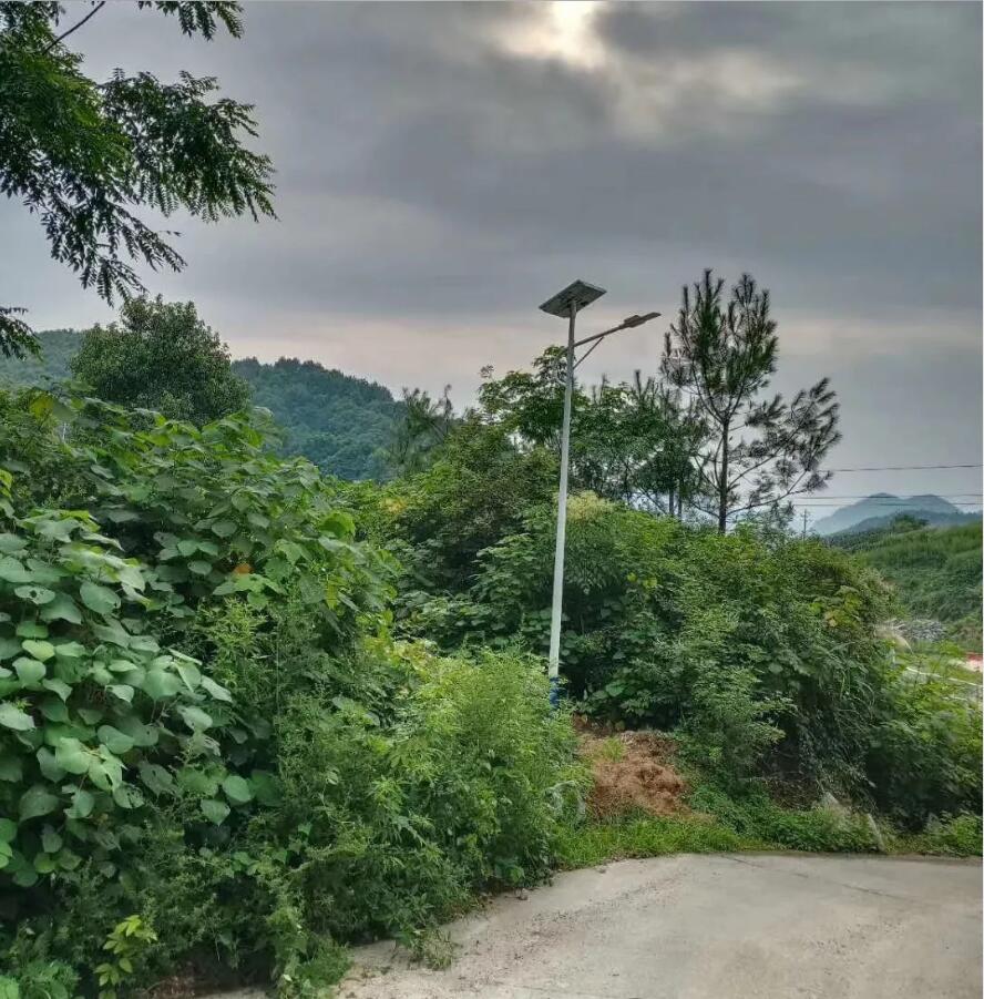 晴空排云雁高飞，源码项目掀热潮