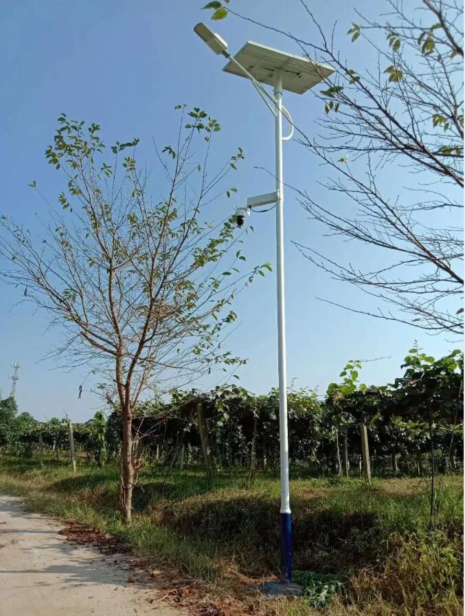 晴空排云雁高飞，源码项目掀热潮