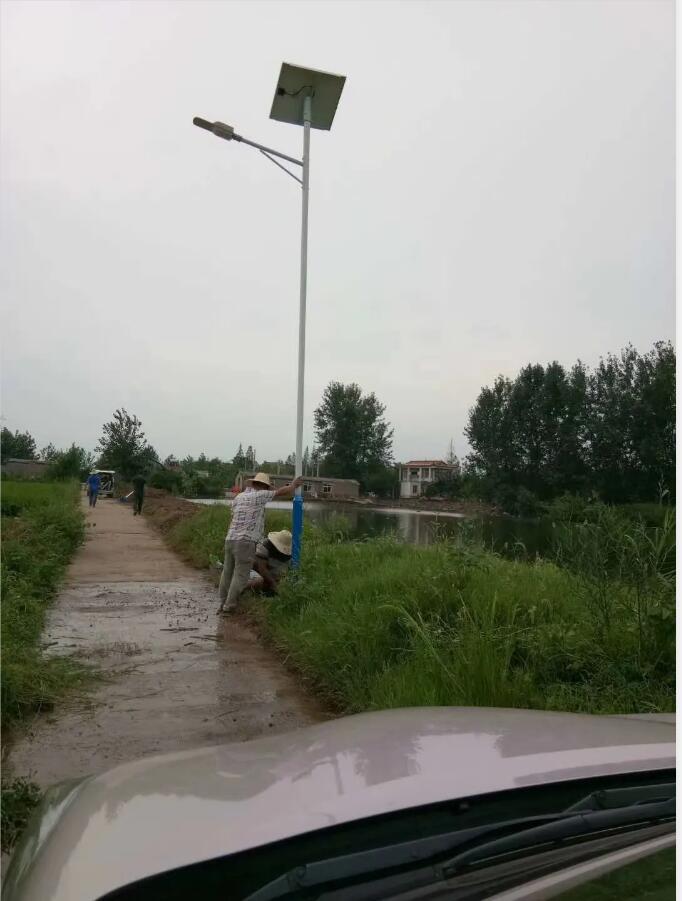 晴空排云雁高飞，源码项目掀热潮