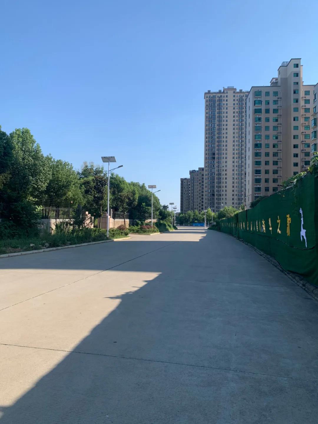 云鹏灯〡九万里风安税驾，云鹏今悔不卑飞