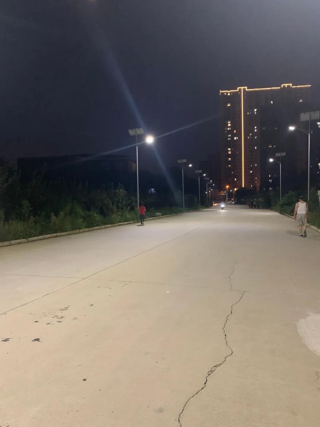 云鹏灯〡九万里风安税驾，云鹏今悔不卑飞