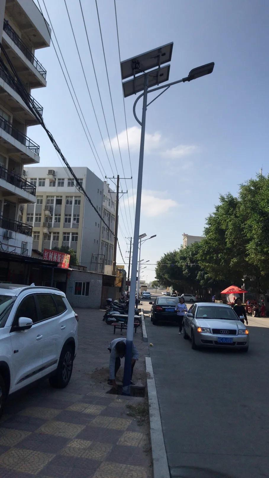 云鹏灯〡九万里风安税驾，云鹏今悔不卑飞