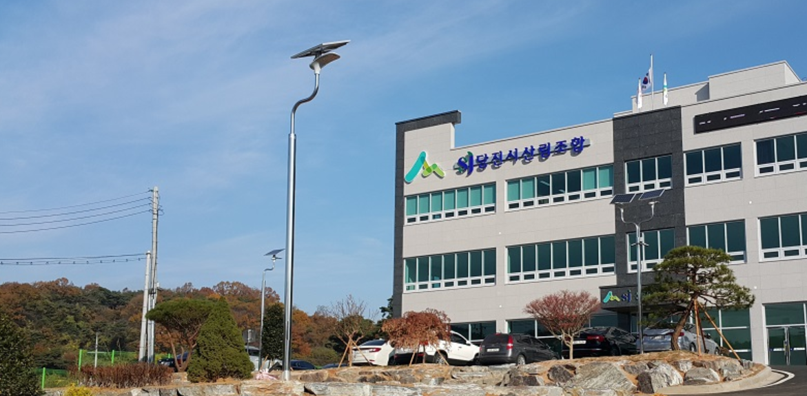 太阳能路灯安装成本如何控制