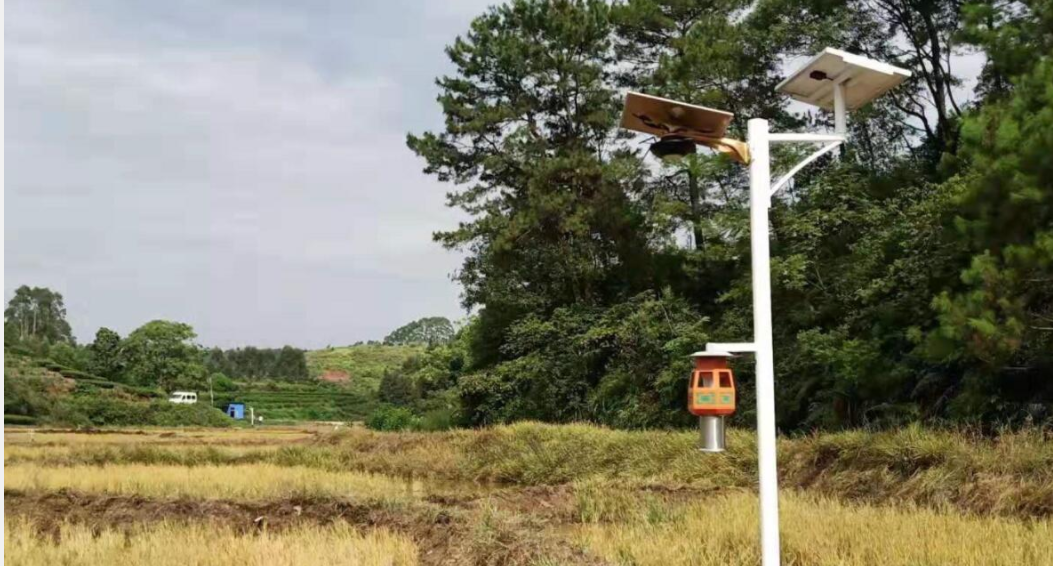 太阳能路灯构造