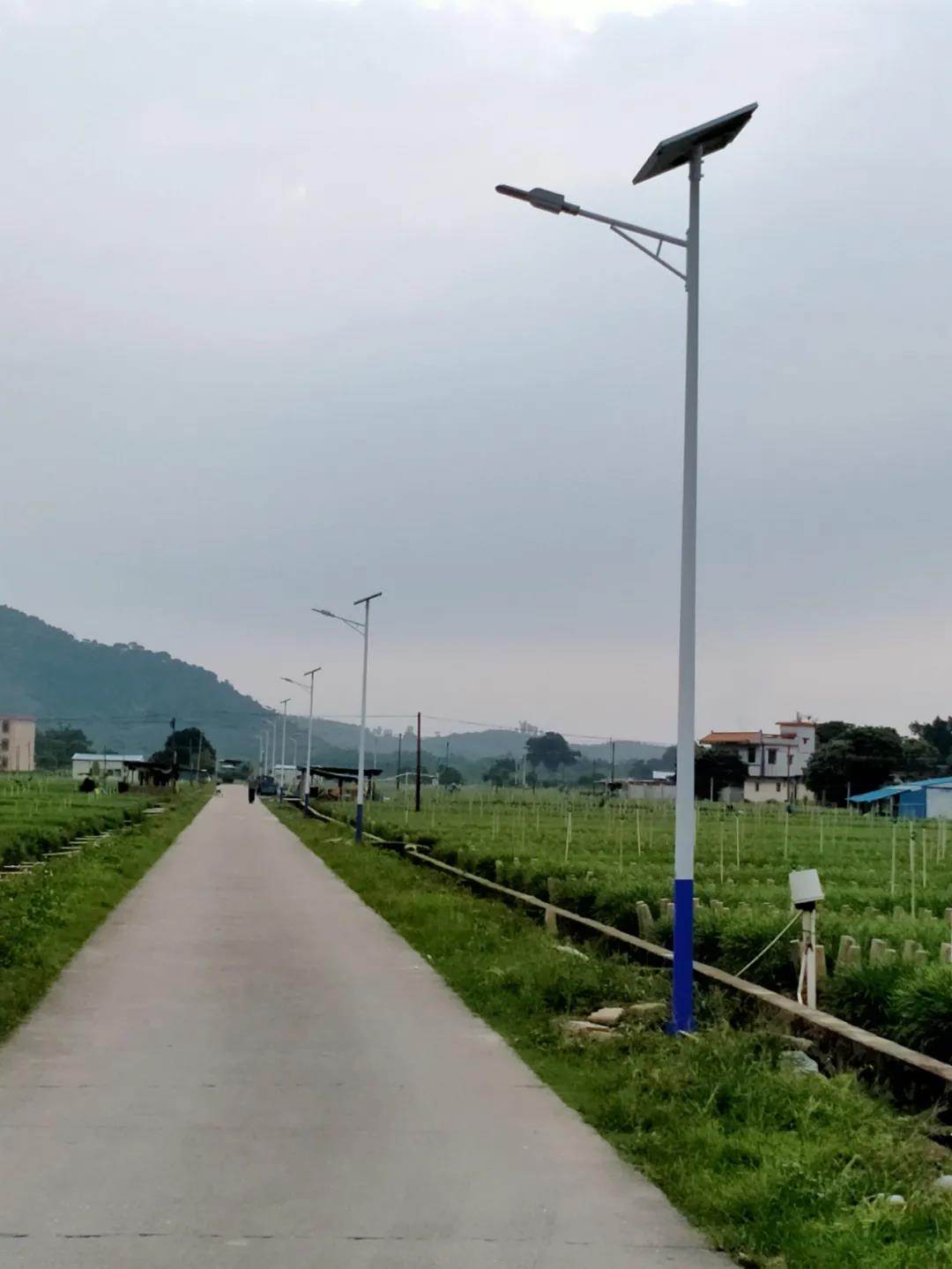 案例赏析〡云雁高飞，助力乡村振兴