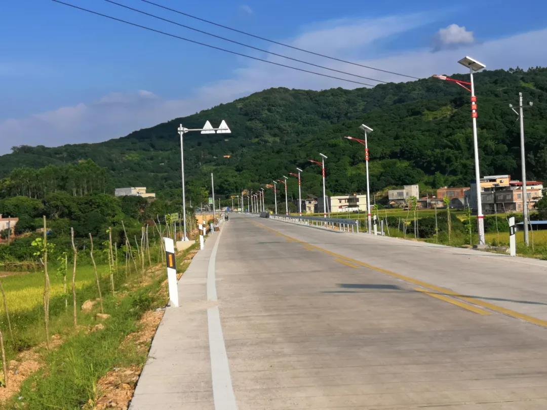 案例赏析〡云雁高飞，助力乡村振兴