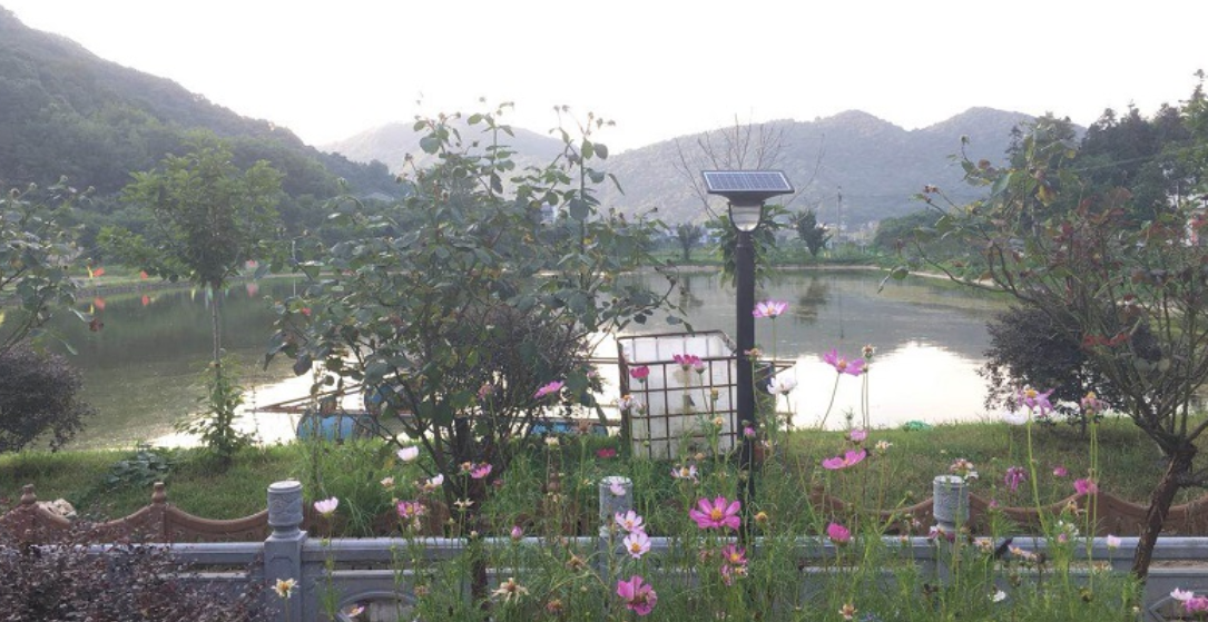 源码太阳能路灯-绿色环保生活理念