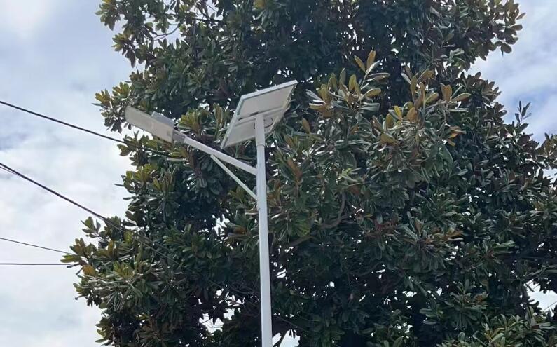 风光互补太阳能路灯工作原理