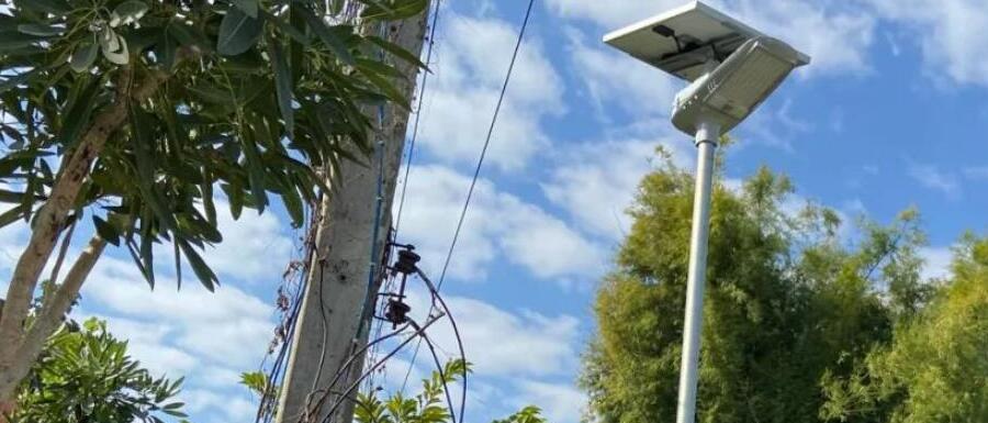 案例赏析〡2022迎新春，源码项目掀热潮