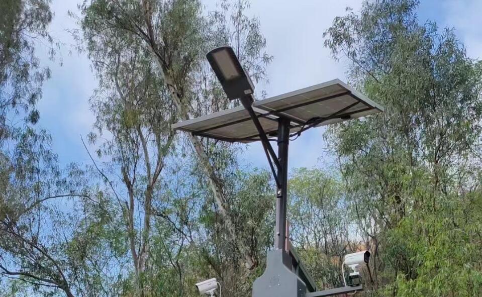 城市建设过程中怎么样选择路灯